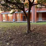 Appartement House In The Forum With Garage