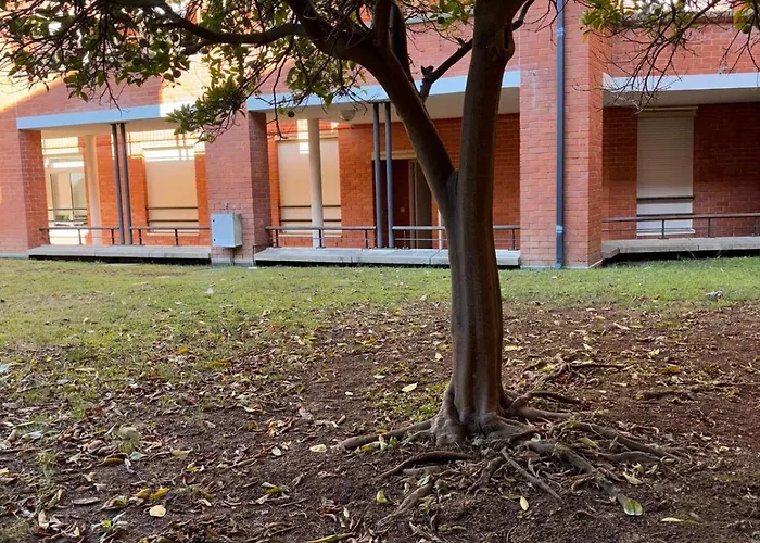 Appartement House In The Forum With Garage